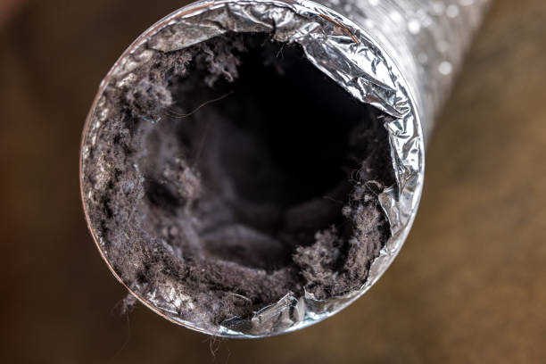Best Best Air Duct Cleaning Company  in Wortham, TX